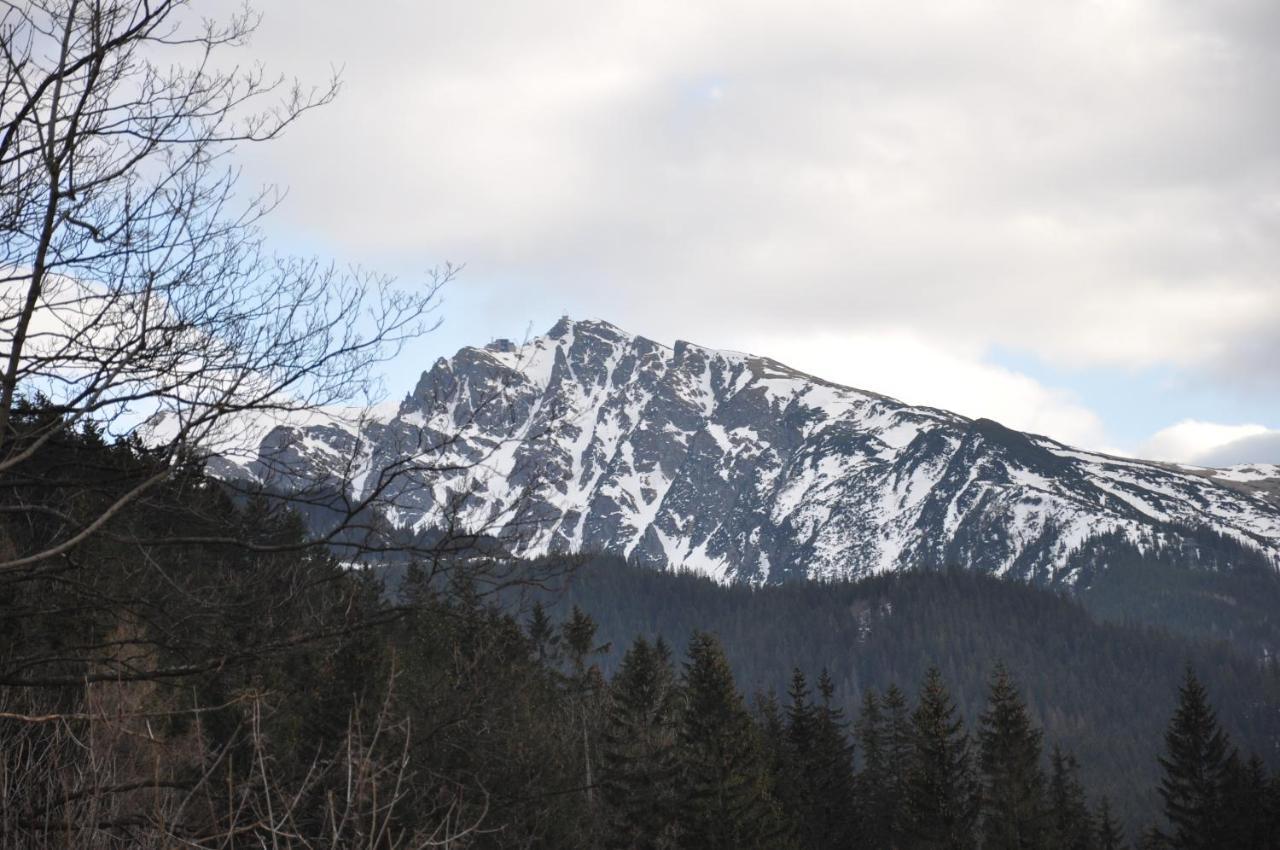 Willa Bystry, Pod Nosalem Zakopane Bagian luar foto